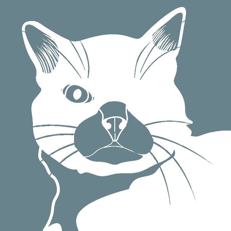 oneeyecats's tweet photo. @NFTShillMachine https://t.co/b1g4TPtPe7 https://t.co/KgcCskOv37