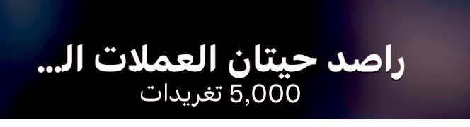 راصد المال tweet media