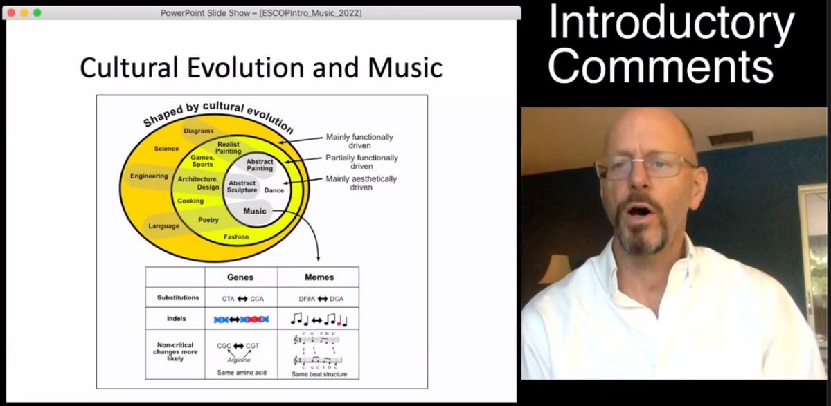 ACelmaMiralles tweet media