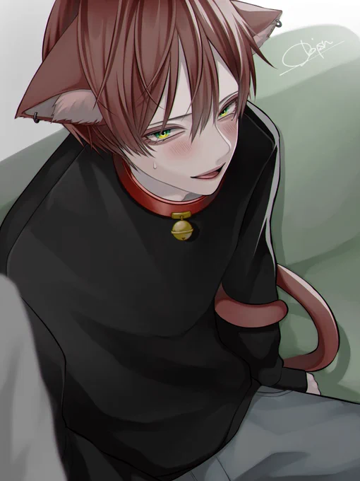 なんで俺が猫に… 