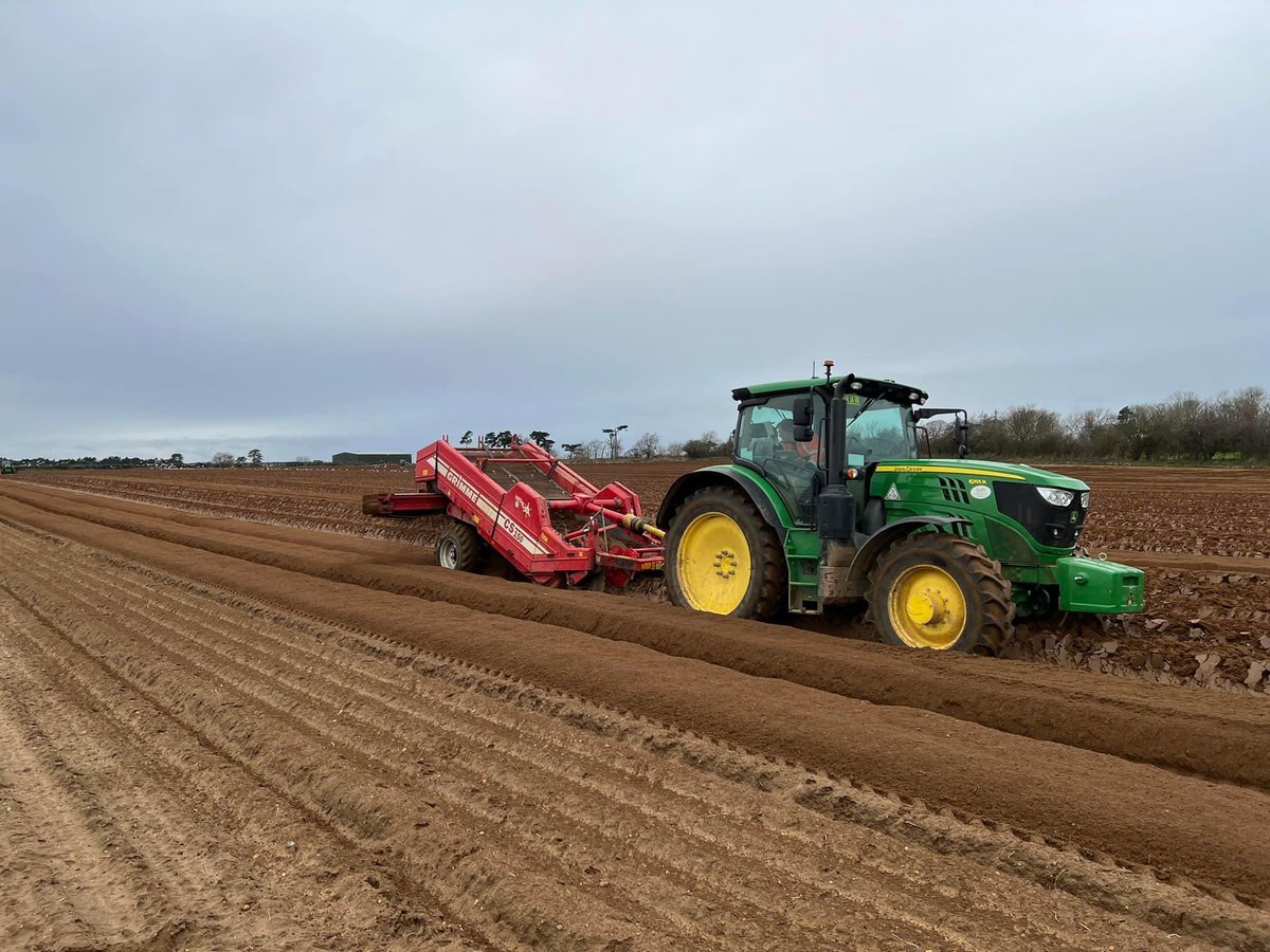 WestropeFarming's tweet photo. We are looking for some additional help with our spring work campaign. Various roles available to suit experience. Operating a 6155R within our highly skilled team. Potential for full time work available. Competitive rates of pay. Please email CV to office@westrope.co.uk🥕🧅🥔 https://t.co/j1FQZr5Tdt