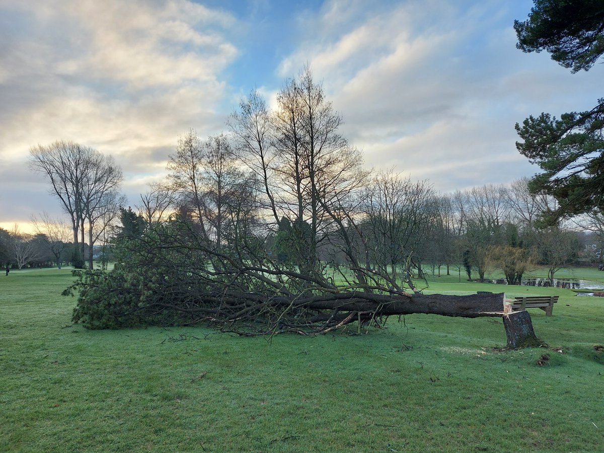 Whitchurch (Cardiff) Golf Club tweet media