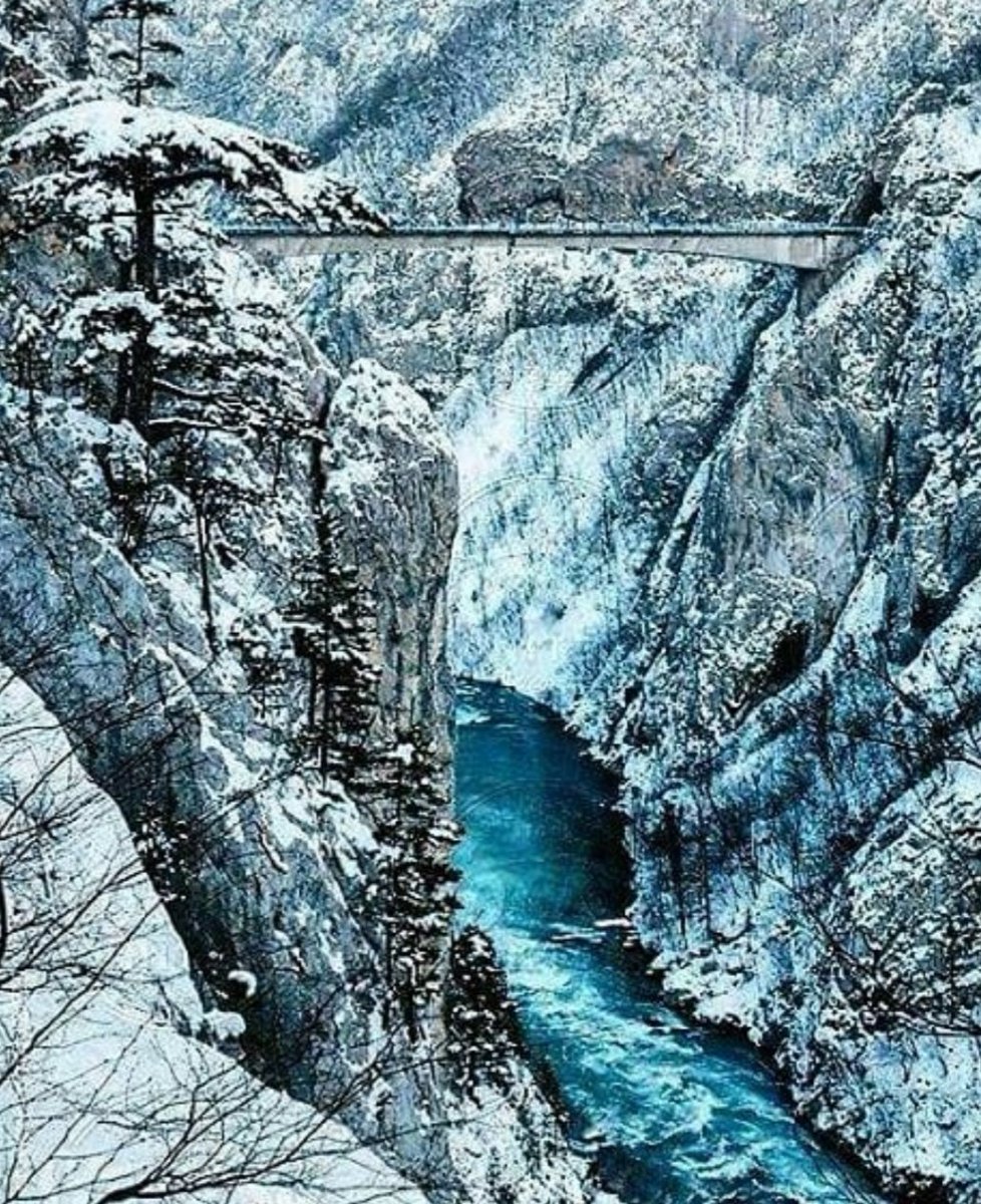 rakocevicvlado's tweet photo. Piva ❤🇲🇪 https://t.co/JaqzoMjIjW