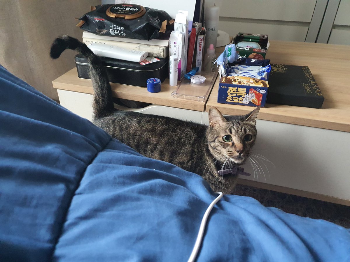 울애기 완져니 청소년대버림 겸둥