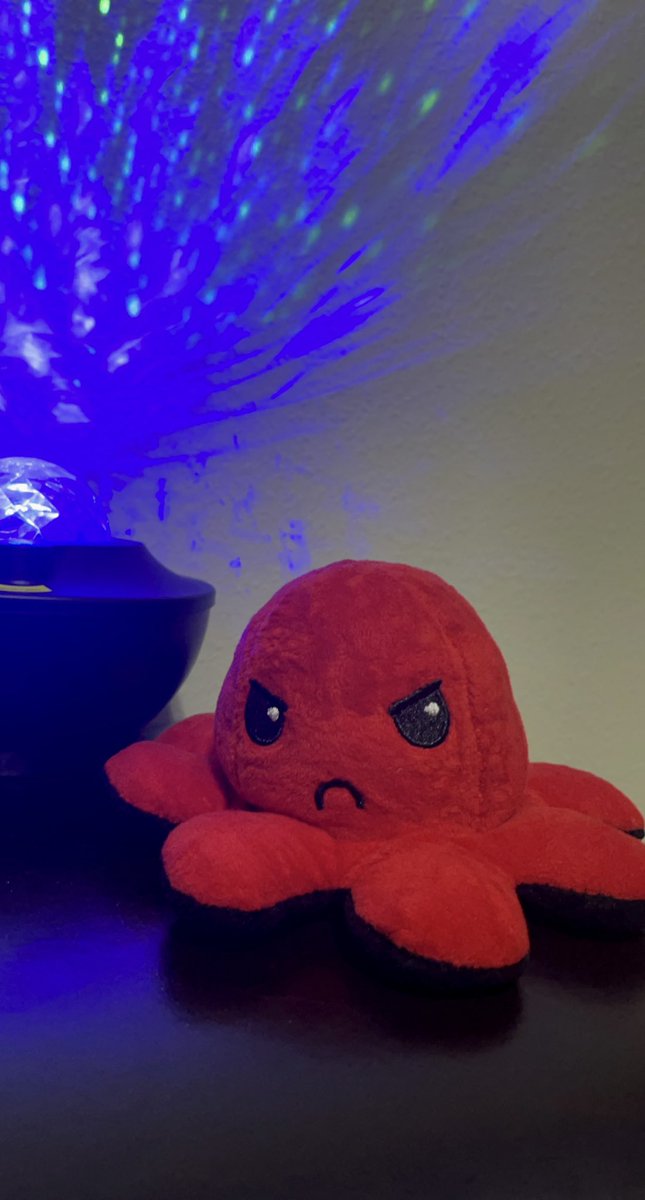 Kay_M_Official's tweet photo. Named our new friend Xavier inspired by an artist that has recently become a frequent listen in my life/relationship๐ค. Love this little bad ass squid.๐ @GHOSTDATA_ Incredible music; go check out his stuff if you havenโt already. ๐๐ผ #ghostdata #dreamsynth #EDMTwitter ๐ฆ https://t.co/p8xrgU6K7b