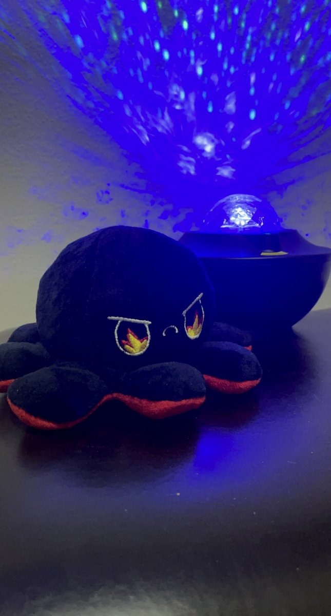 Kay_M_Official's tweet photo. Named our new friend Xavier inspired by an artist that has recently become a frequent listen in my life/relationship๐ค. Love this little bad ass squid.๐ @GHOSTDATA_ Incredible music; go check out his stuff if you havenโt already. ๐๐ผ #ghostdata #dreamsynth #EDMTwitter ๐ฆ https://t.co/p8xrgU6K7b