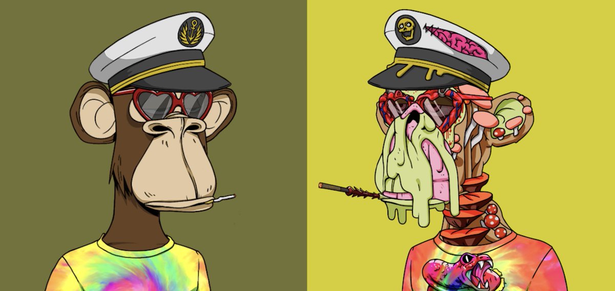 praise | art on papers (@getpraise_) on Twitter photo GM frens, just wanted to shout a big thank you to <a href="/BoredApeYC/">Bored Ape Yacht Club π</a> for changing our lives. These two little apes here give us the security to pursue our dreams and leave the corporate structure. Forever grateful for that #apefollowape #NFTCommumity  #WGMI GM frens, just wanted to shout a big thank you to <a href="/BoredApeYC/">Bored Ape Yacht Club π</a> for changing our lives. These two little apes here give us the security to pursue our dreams and leave the corporate structure. Forever grateful for that #apefollowape #NFTCommumity  #WGMI