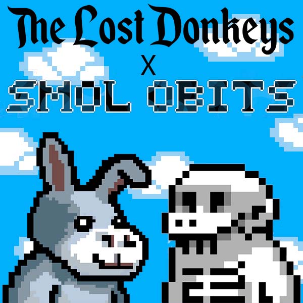 The Lost Donkeys 🥕 tweet media