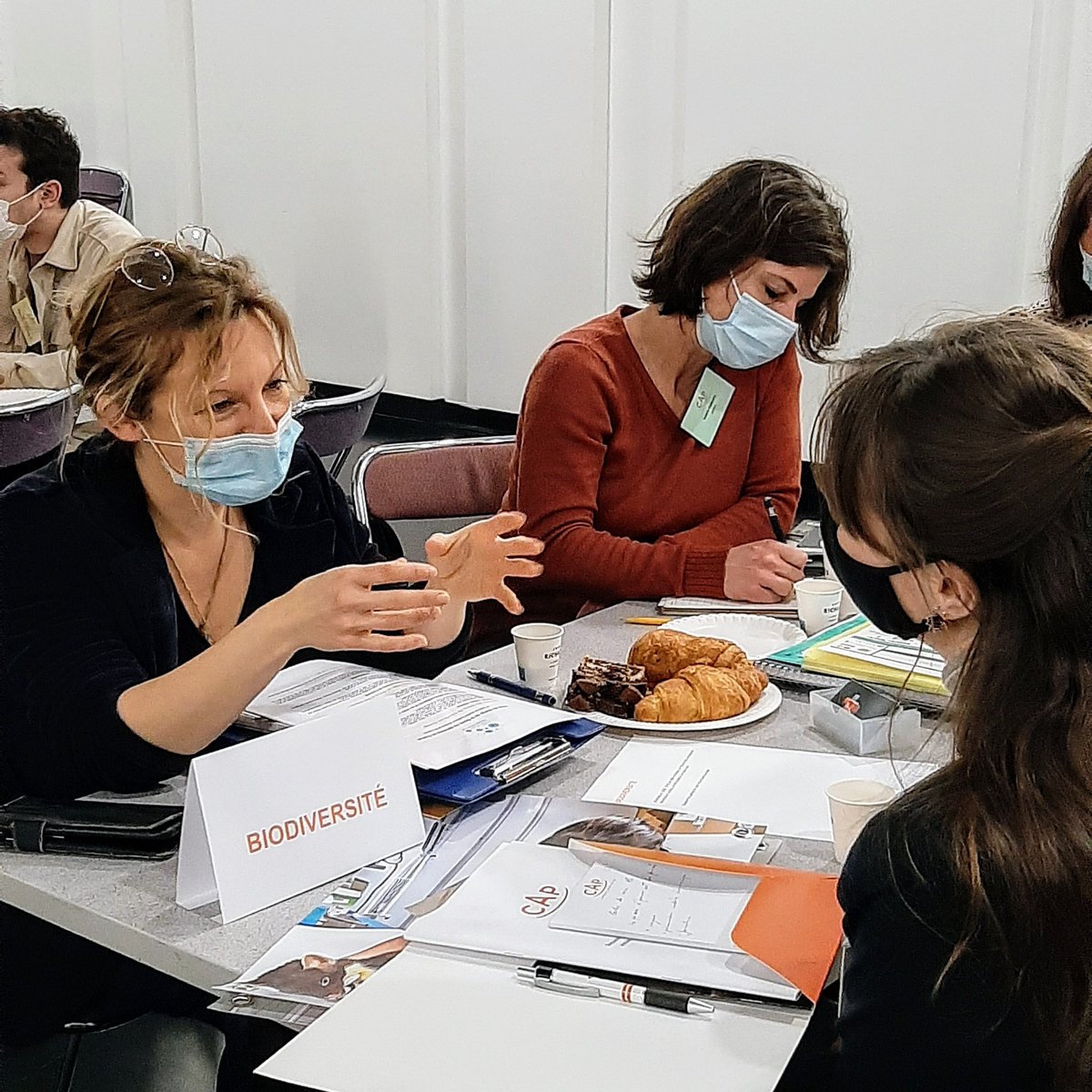 Convergence Animaux Politique tweet media