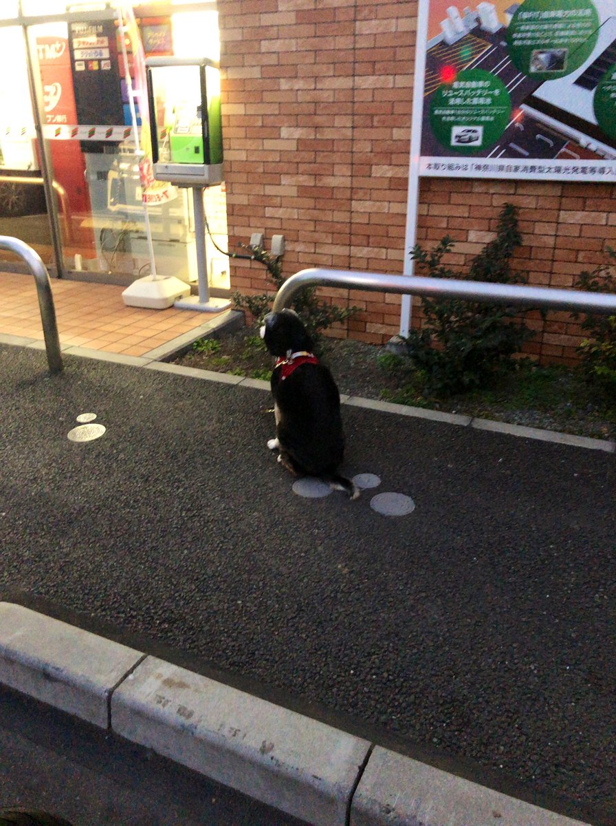 EmeRyouichi's tweet photo. 背中の哀愁 https://t.co/plfruNQnS1