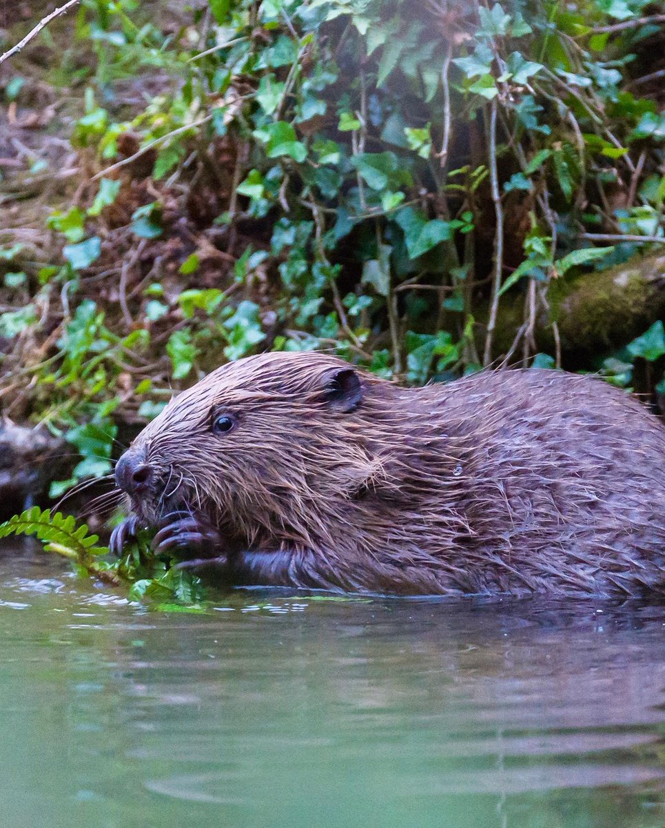 Hannah Stitfall tweet media