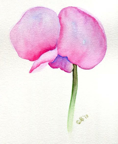 ArtatClaire's tweet photo. Did you know that #Sweetpeas can symbolise good wishes, friendship and kindness?
This is a perfect #ForeverFlower for your #mum this #mothersday Buy here https://t.co/1euBCxVDnK You can find more ideas here, https://t.co/5aUcKpaBEu #ClaireHarrisonArt #art #picoftheday #painting https://t.co/QX2i3DrHN1