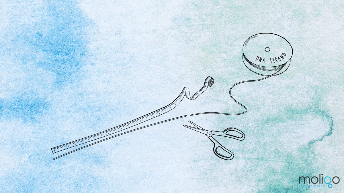 moligotech tweet media