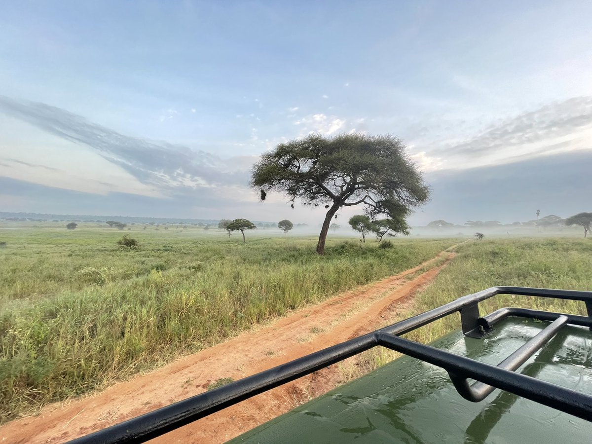 dee_duale's tweet photo. Once you are exposed to the beauty of African wildlife it stays in your heart forever… we often don’t appreciate it enough https://t.co/mpR2xI6j3L