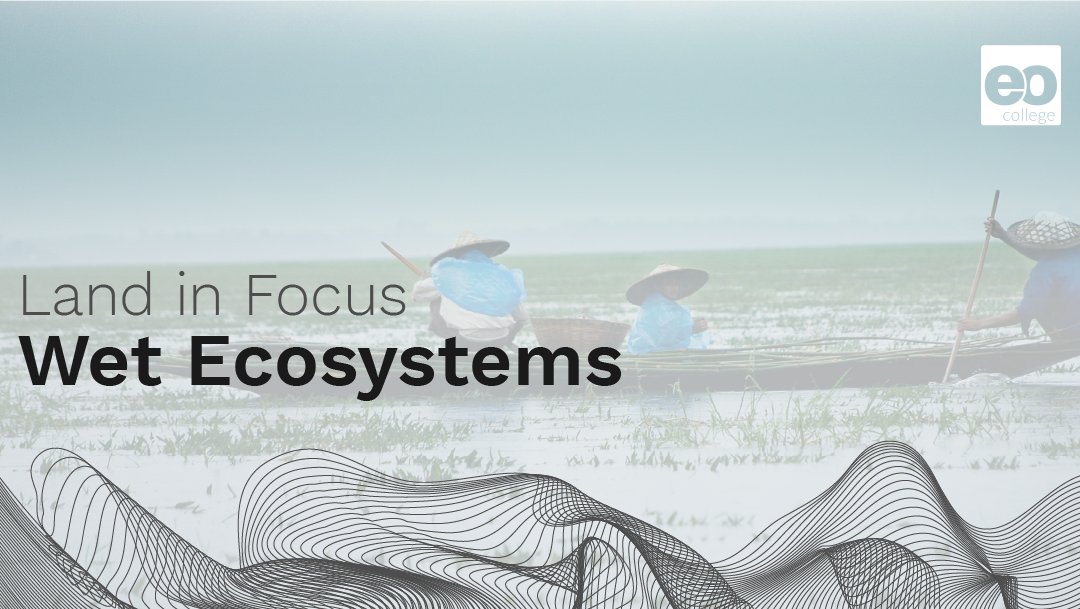 Jena Earth Observation School (@jeos_jena) on Twitter photo We published another set of practical courses from our #LandInFocus #MOOC.
Enroll in the 'Wet Ecosystems' MOOC to learn about monitoring wetlands and soil moisture using RS!🛰️
Start the course here: bit.ly/3Ihjg5W.
<a href="/ESA_EO/">ESA Earth Observation</a>
<a href="/JEOS_Jena/">Jena Earth Observation School</a>
<a href="/eo_college/">EO College 🎓</a>
<a href="/NASAARSET/">LAPSOR.COM</a> We published another set of practical courses from our #LandInFocus #MOOC.
Enroll in the 'Wet Ecosystems' MOOC to learn about monitoring wetlands and soil moisture using RS!🛰️
Start the course here: bit.ly/3Ihjg5W.
<a href="/ESA_EO/">ESA Earth Observation</a>
<a href="/JEOS_Jena/">Jena Earth Observation School</a>
<a href="/eo_college/">EO College 🎓</a>
<a href="/NASAARSET/">LAPSOR.COM</a>