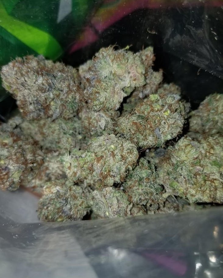 jack76176110's tweet photo. Here’s some outdoor grown blackberry hashplant X orange dreams. Looks tasty 😋 🔥 https://t.co/2ZMrZWUOvw