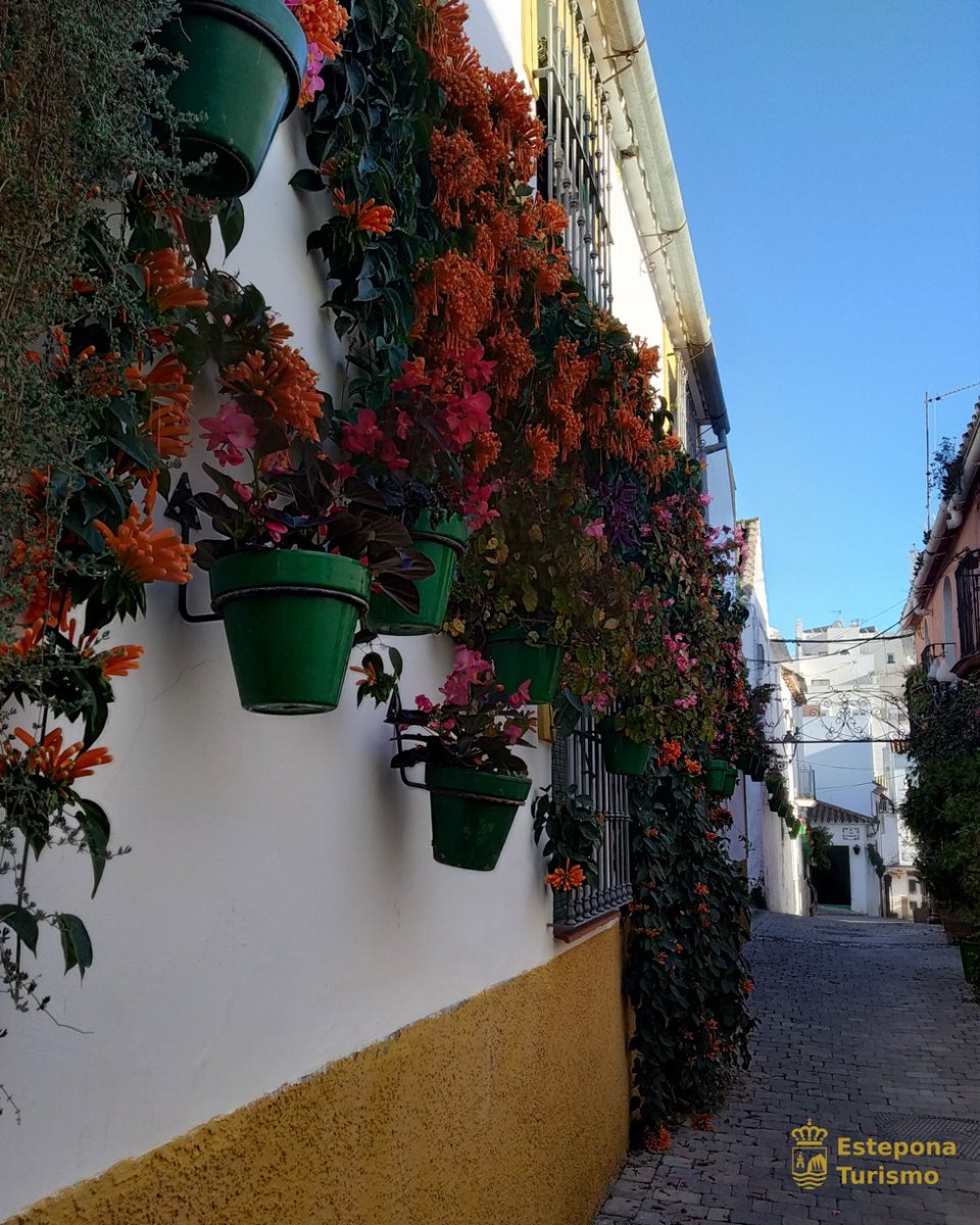 EsteponaTurAyto's tweet photo. Y así de bonita está la calle Jubrique...el casco antiguo de #Estepona es un verdadero #jardínurbano 🌿And this is how beautiful Jubrique street is...the old town of #Estepona is a real #urbangarden 💚
#natureleza #nature #ciudadverde #greentown #verdeesvida #greelife https://t.co/R5XA13mHeX