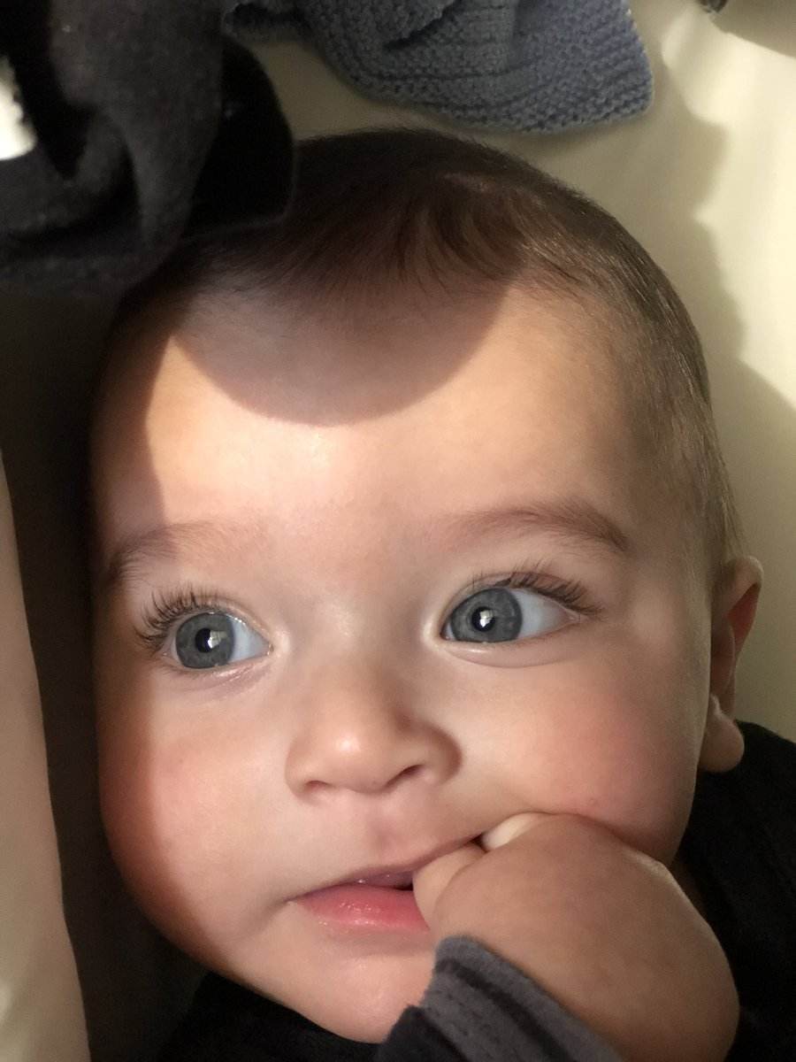 RyanMerheb's tweet image. My son enzo turns 6 months old next week 🤗