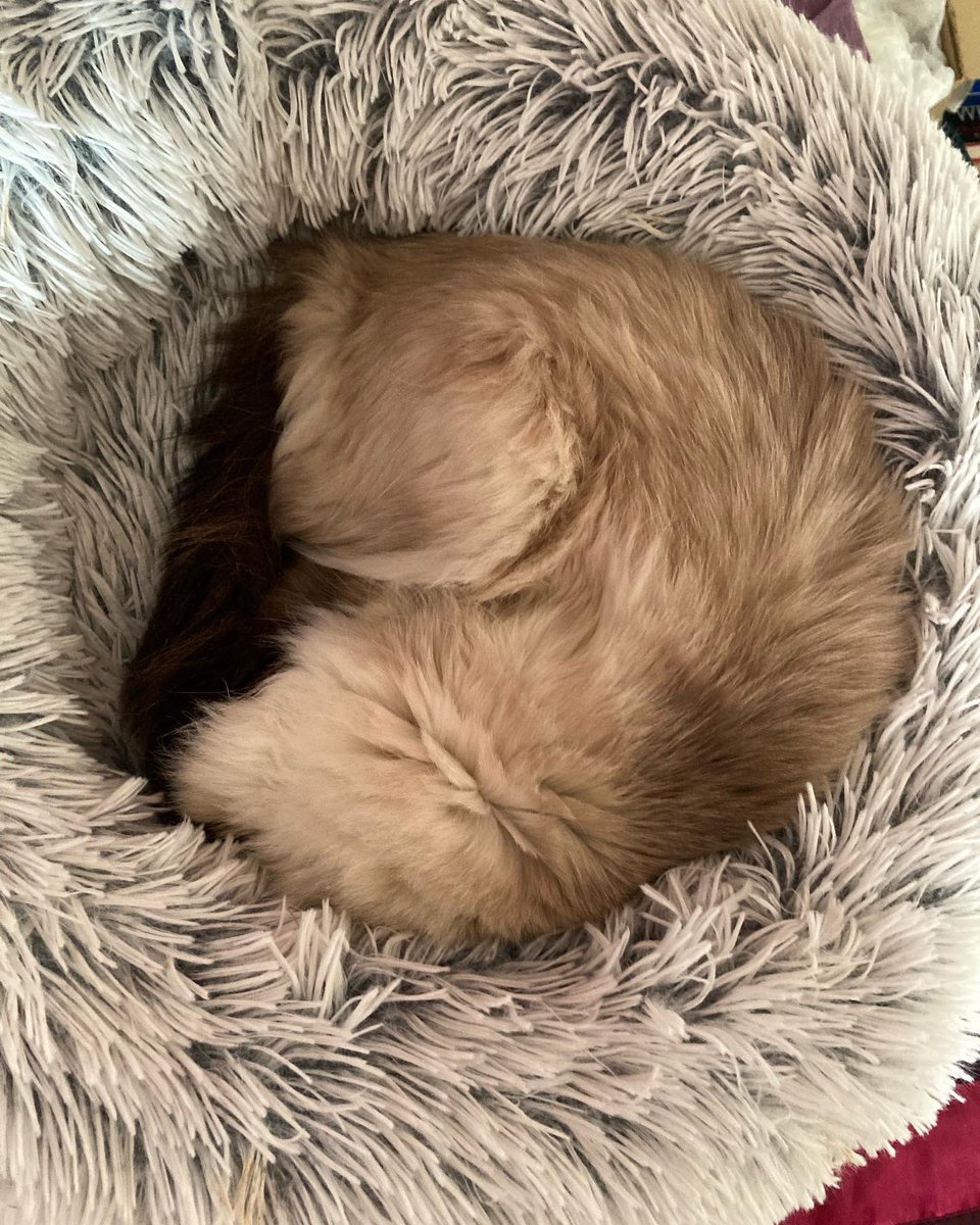 Angela Ede tweet media