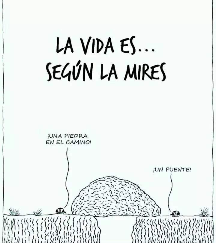 LinaEcheverri's tweet photo. La vida es según la mires https://t.co/9huWYUaxRQ