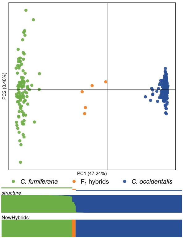 Evolutionary Applications tweet media