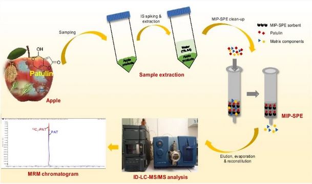 AnalBioanalChem's tweet image. Development of isotope dilution–liquid #chromatography/tandem mass #spectrometry as a method for the determination of #patulin in apple products
by Byungjoo Kim et al @UST_Korea @EgyptNIS #mycotoxin #PAT

link.springer.com/article/10.100…