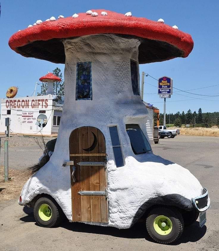 infected's tweet photo. Tag a bestie who you'll take on a ride in an INFECTED car 🍄
#InfectedMushroom #IM #Psychedelic #PsychedelicArt #MushroomArt https://t.co/uW7SGah0Xx