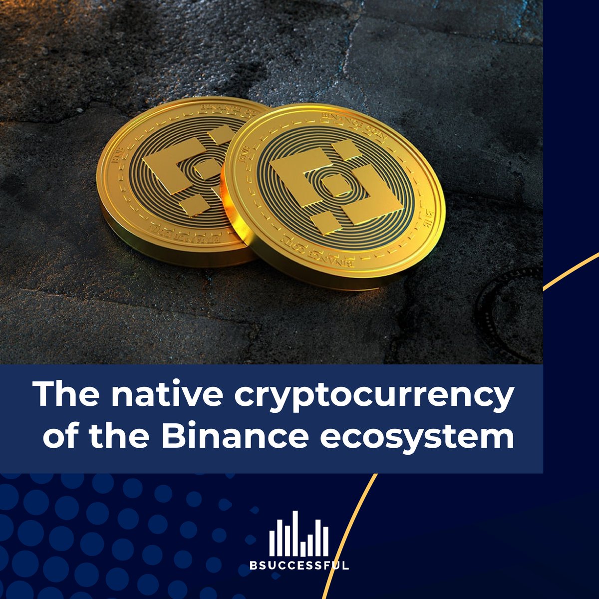 BSuccessful_'s tweet photo. Binance ecosystem - BNB token https://t.co/DStOETNQrm