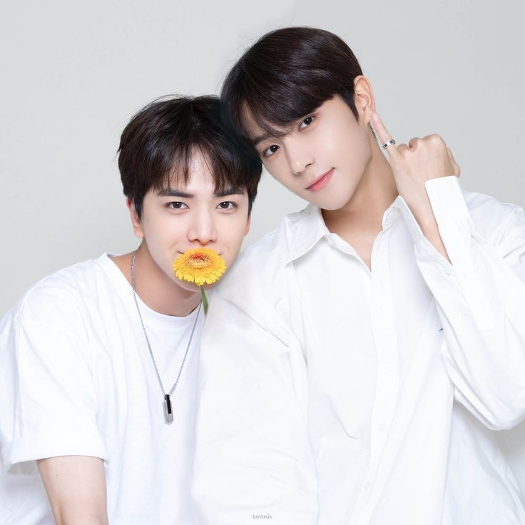 bilulangit's tweet photo. tanggal cantik; •milbbang oneshoot!AU

⚠️❗ bxb, kissing scene, harsh word

✧*。ditanggal cantik Februari tahun ini, Hynjae ingin menghabiskan waktu bersama orang terkasih ✧*。

https://t.co/aOOI5bjYrR https://t.co/KQXkS5Z424