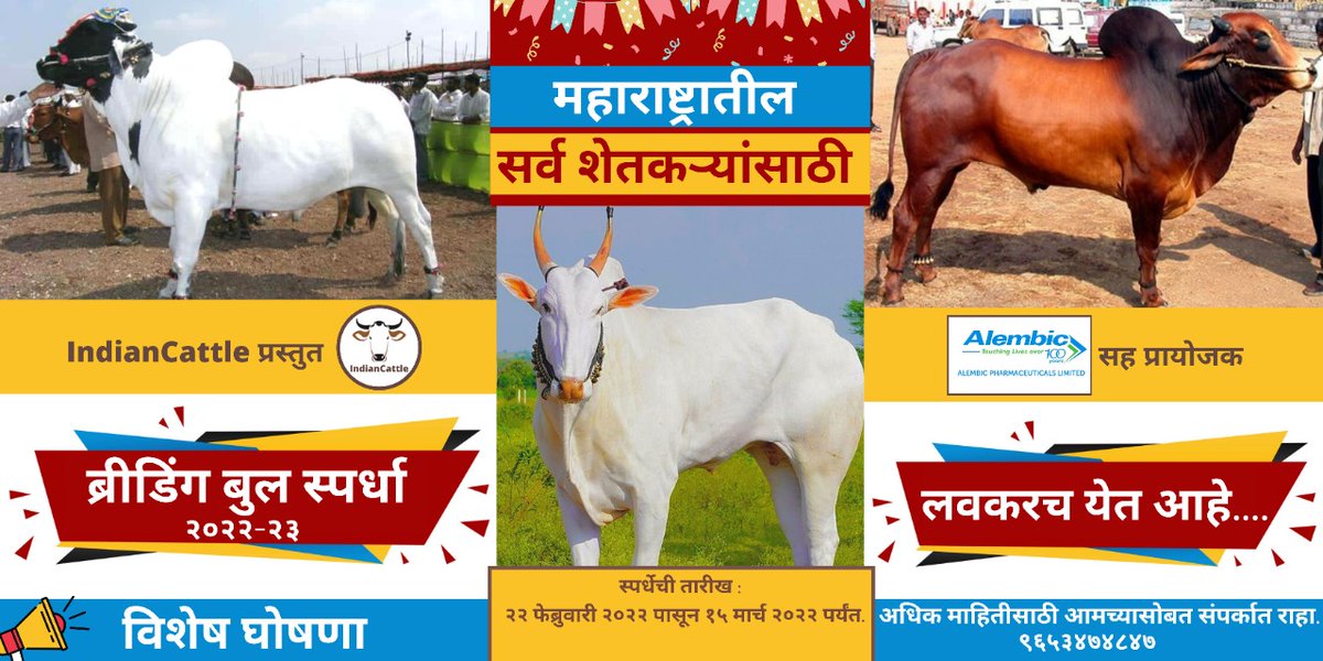 Indiancattle11's tweet photo. वळू स्पर्धा.🏆💥

सर्व गोपालकांना कळविण्यात येते की. सध्या विवीध वयोगटांच्या देवणी/लाल कंधारी/ खिल्लार वळूंची स्पर्धा आयोजीत केली आहे. 

Link👉 https://t.co/4W79Z9DAk4

#breedingbulls #Bulls #Competition #Announcement #Cattle #cows #maharashtranews #indiancattle https://t.co/GMQ1ZImCkY
