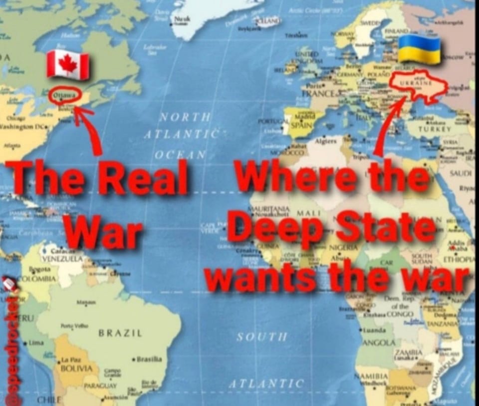 shahla64104873's tweet image. 