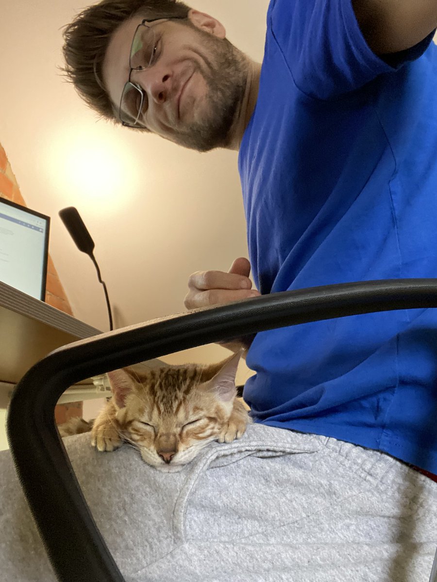 chasbrickland's tweet photo. @Tigerinkprint She’s already taking a nap break though - least productive coworker EVER https://t.co/uUOssdhvIk