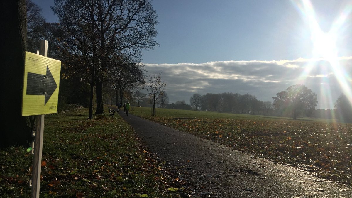 parkrunUK's tweet photo. Describe your ideal parkrun surroundings... go! 

🌳 #loveparkrun https://t.co/mTxz0bhdoz