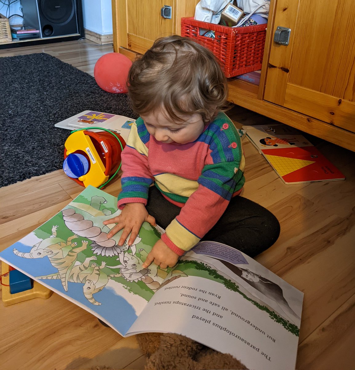 Very early career researcher learning about Jane the zircon (and dinosaurs, but really mostly zircon) from this awesome children's book <a href="/apatite4life/">Matthew Fox</a>