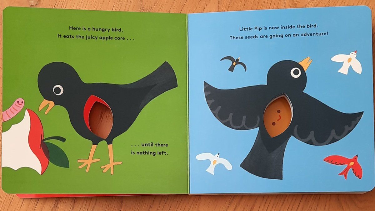 MrsNCleveland's tweet photo. Huge thanks to @templarbooks for these beautiful board booksโค๐๐ฎ
Pip, and Drip, by @mmaggieli are perfect for #EYFS & #KS1 to inspire curiosity, and build understanding of seed life cycles and the water cycle.
Very much hoping there are more #LittleLifeCycles to come. https://t.co/z0bkUCzWHJ