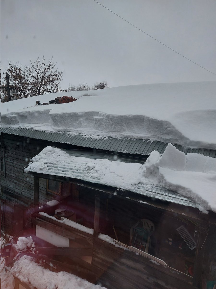 littNelli tweet media