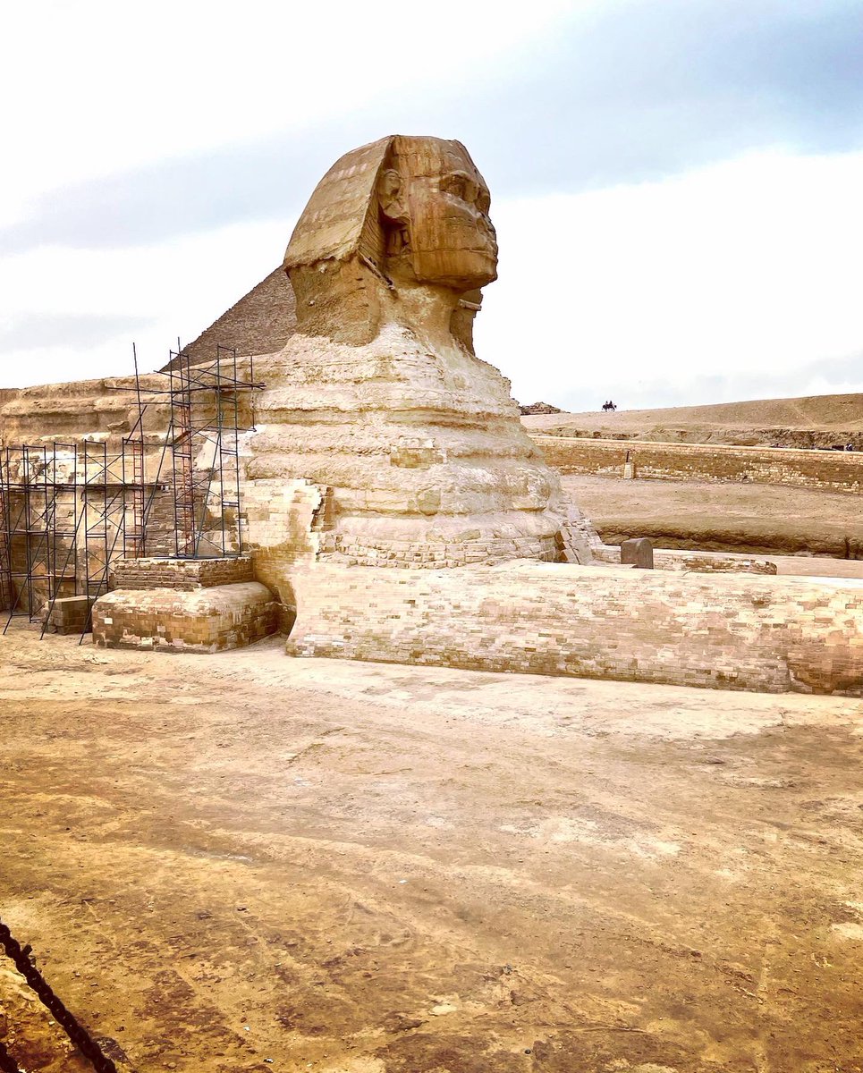 FranciscoSanchez (@frankiestgt) on Twitter photo 