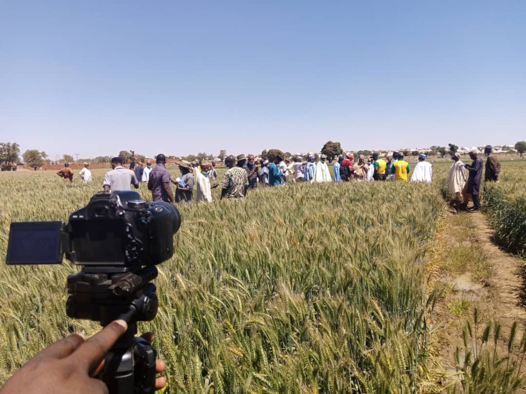 fmanng_'s tweet photo. Live at Sokoto Green Field day honored by the Hon Commissioner alongside other dignitaries across the value chain.
Ongoing farm tour anchored by the #FMAN team https://t.co/WaTCVZVYK9