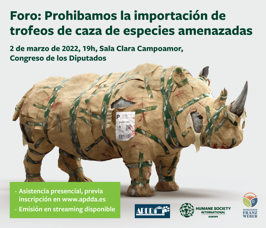 #DerechosAnimales #DerechoAnimal FORO “Prohibamos la importación de trofeos de caza de especies vulnerables" - Congreso de los Diputados - FORMULARIO de INCRIPCIÓN: forms.gle/X8s2GZ1orvb1DH… <a href="/ChesusYuste/">Chesús Yuste</a> <a href="/sandrage76/">Sandra Guaita Esteruelas</a> <a href="/SofCastanon/">Sofía Castañón 💜💛💙</a> <a href="/ffw_es/">Fundación Franz Weber</a> <a href="/HSIGlobal/">超级Z.Y.N 发明家 V2</a>