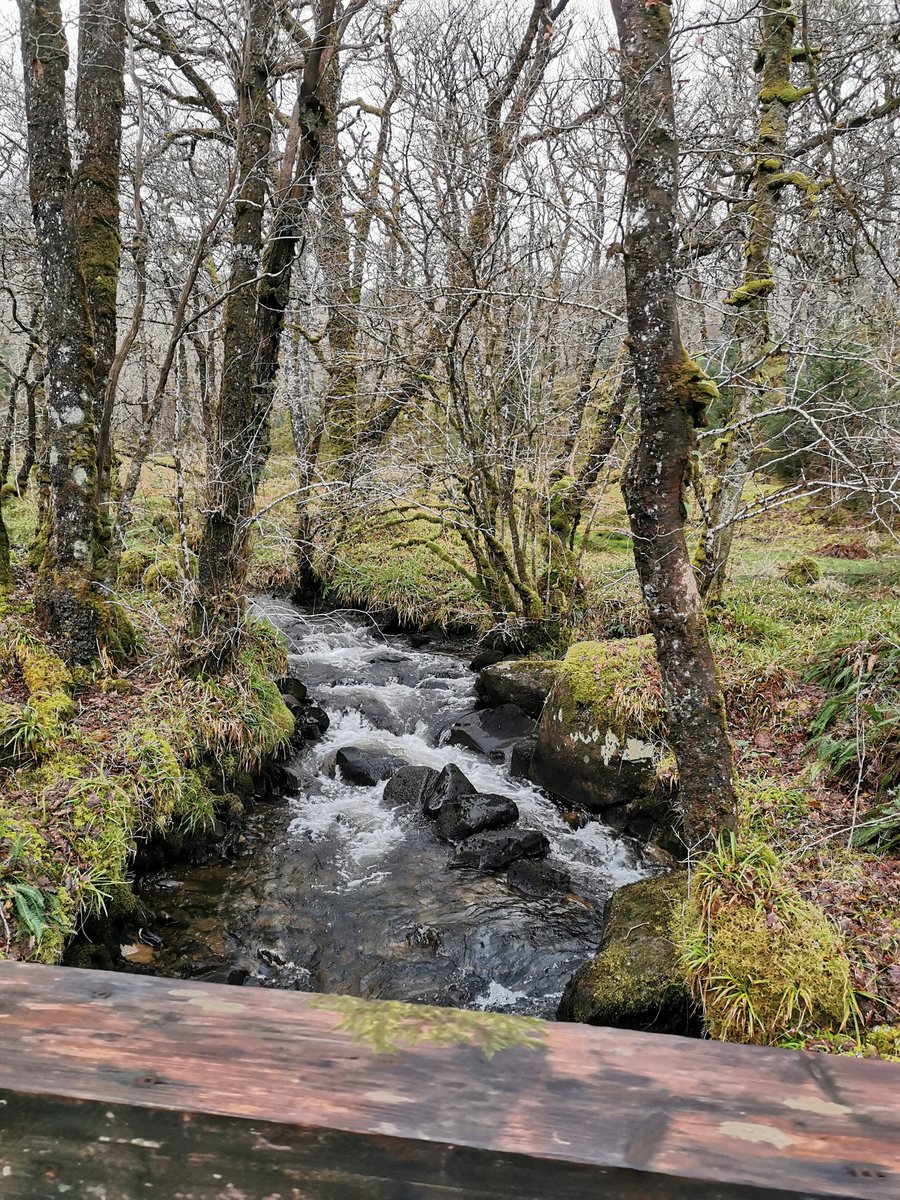 Jonsully72's tweet photo. #goodmorning lovely 5 mile run around these parts, #lochawe #dalavich https://t.co/f0yPqq7bZX