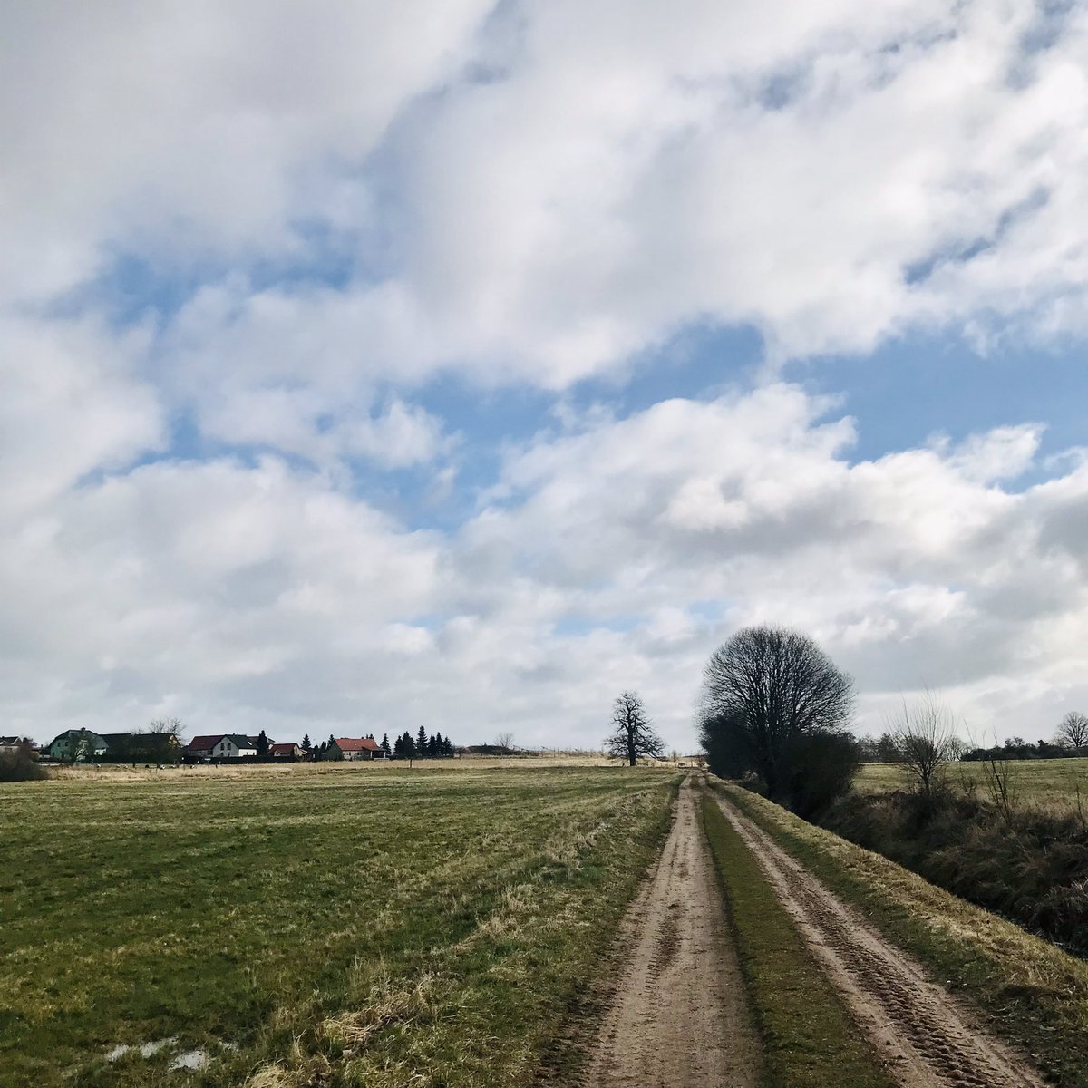 underagreysky's tweet photo. Sandy tracks and park trails for this morning’s run… #derflaeming #gettingthereslowly #adventuresbeyondthefrontdoor https://t.co/MKicjOdp77