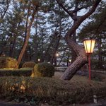 鹿児島 砂むし温泉 指宿白水館(Hakusuikan)のツイート画像