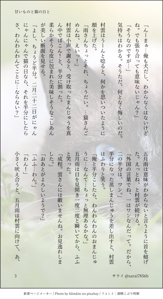 サライ Sarai7856b Twitter