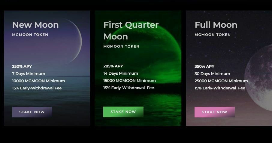 MegaMoon Token tweet media