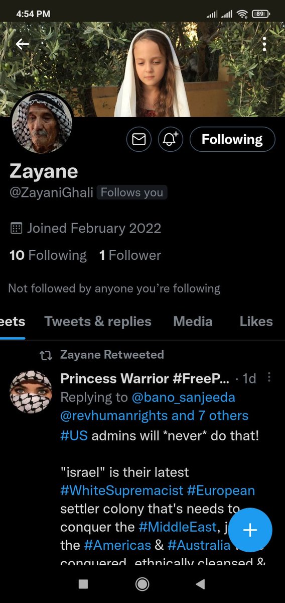 To all my beautiful Friends Please follow and support this beautiful account. @ZayaniGhali He supports Palestine with his way He supports Palestine with beautiful poems and beautiful arts. #FreePalestine