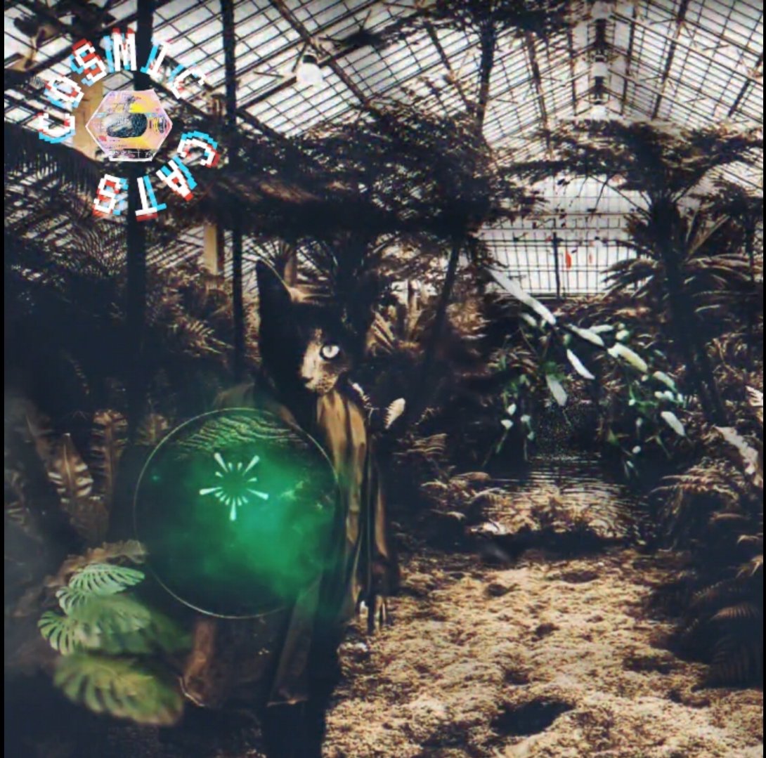 Ns_JNR's tweet photo. #COSMICCATS FALLEN π
#AntiCOSMOS has slayed #KingCosmos and is wreaking havoc with its #NegNRG. The $REGEN rangers are doing all they can to prevent the #Cosmos becoming a barren wasteland... it's all about to collapse!
#CC is @NotsNfts supported π¨
Launch info coming soon π https://t.co/3xCZYZHuiG