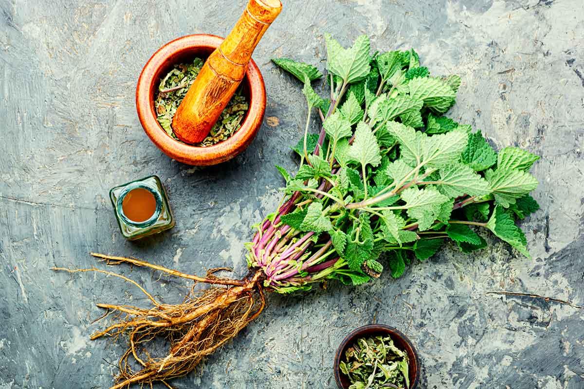 Delicatezen's tweet photo. Descubre las mejores infusiones para dormir mejor con #manzanilla, #magnolia y #valeriana.
https://t.co/MkljRW2fxu https://t.co/4YRJMHNCzj