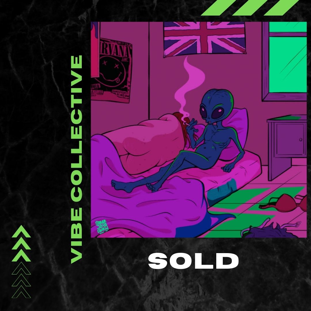 NFT Vibe Collective tweet media