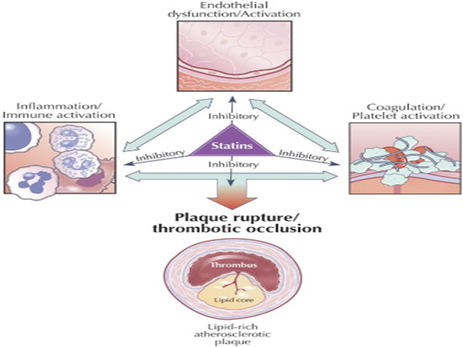 Reference: https://www.sciencedirect.com/science/article/pii/S0735109705017730