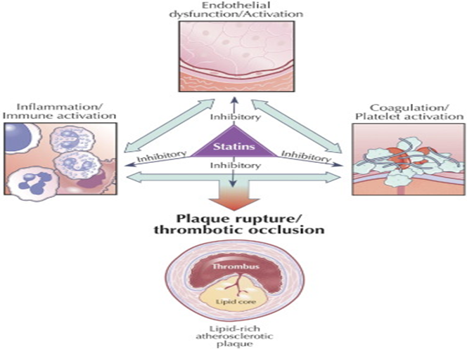 Reference: https://www.sciencedirect.com/science/article/pii/S0735109705017730 